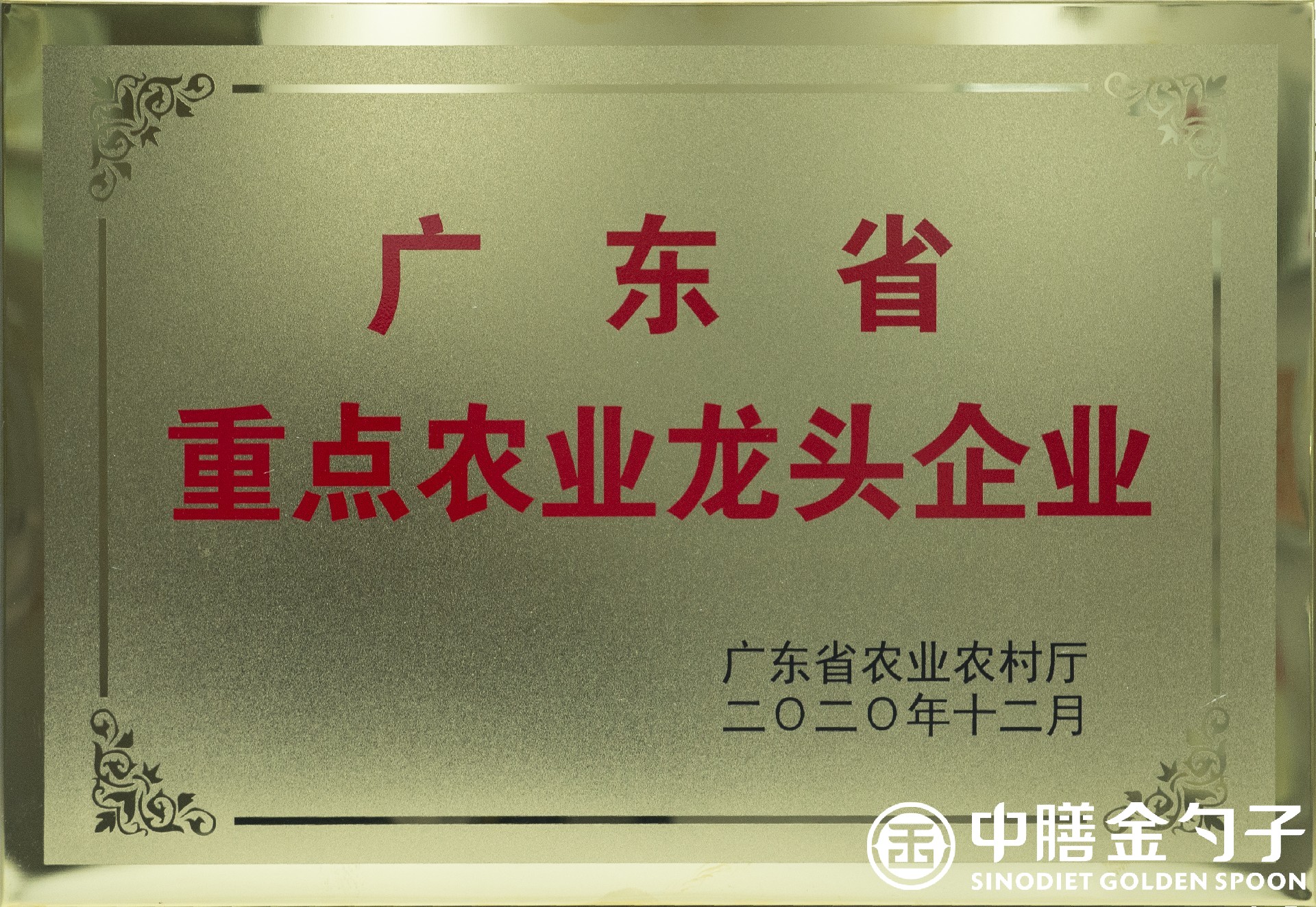 1644463436973795.jpg 1644463436973795.jpg